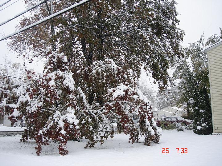 NJ_NY 225.JPG